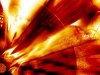 последствия гречневой диеты